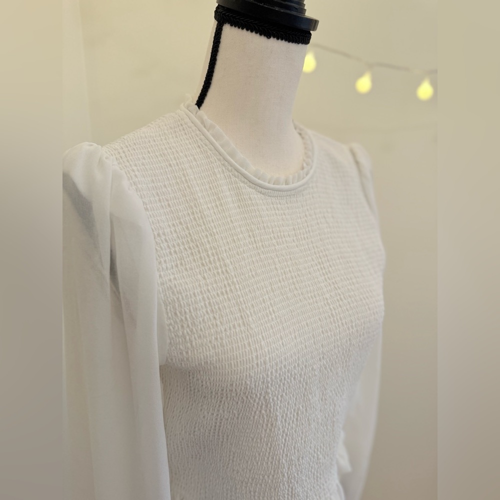 🌾 Aritzia Sheer Puff Long-sleeved Wilfred Tempest Blouse - Picture 4 of 6